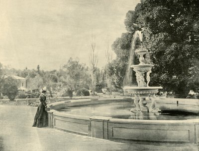 Nos jardins botânicos, Adelaide, 1901. de Unbekannt