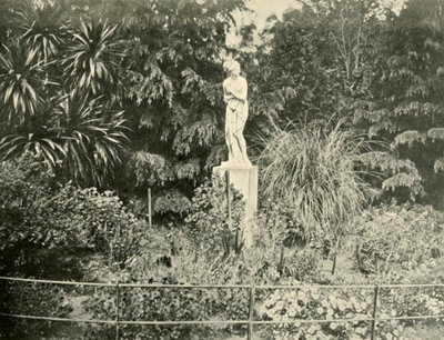 Nos jardins de Fitzroy, Melbourne, 1901. de Unbekannt