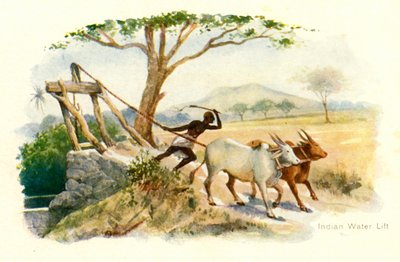 Elevador de água indiano. de Unbekannt