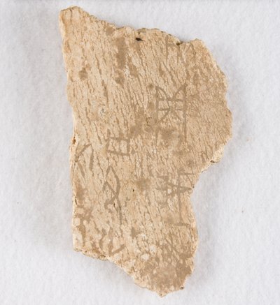 Osso de oráculo de fragmento de osso inscrito, final da dinastia Shang, ca. 1300-1050 AEC. de Unbekannt