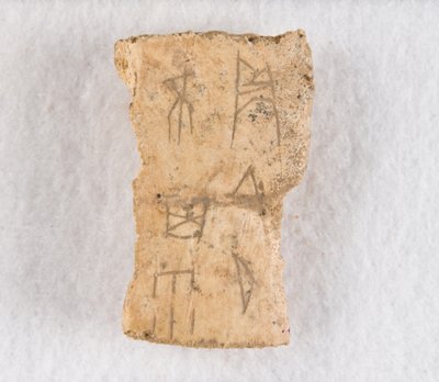 Osso de oráculo de fragmento de osso inscrito, final da dinastia Shang, ca. 1300-1050 AEC. de Unbekannt