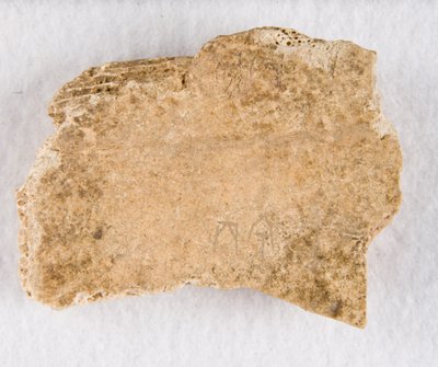 Osso de oráculo de fragmento de osso inscrito, final da dinastia Shang, ca. 1300-1050 AEC. de Unbekannt