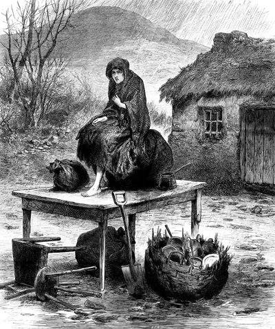 Camponesa irlandesa que guarda os últimos bens da família, 1886 de Unbekannt