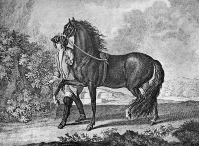 Cavalo napolitano italiano, 1722 1938 de Unbekannt