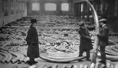 Embarque em marfim, Royal Albert Dock, Londres, 1926-1927 de Unbekannt