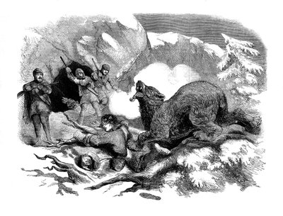 Jack Curlings estreita fuga de um urso feroz, 1855 de Unbekannt
