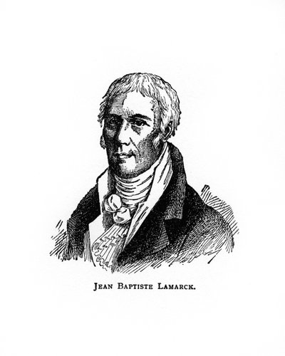 Jean-Baptiste Lamarck, naturalista francês, século 20 de Unbekannt