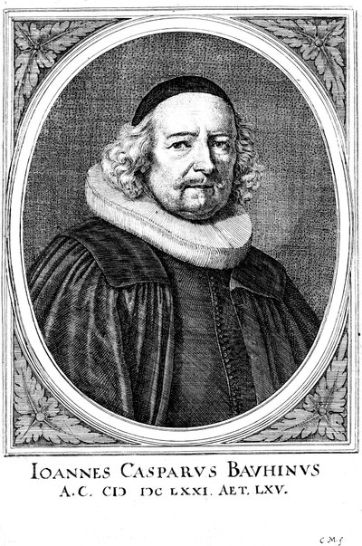 Jean Caspar Bauhin 1606-1659, médico e botânico suíço de Unbekannt