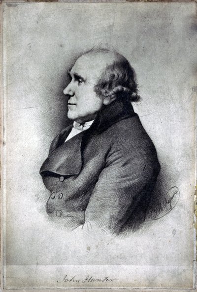 John Hunter, cirurgião e anatomista britânico, c 1770s de Unbekannt