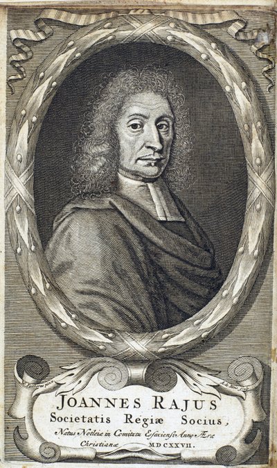 John Ray (Wray), naturalista inglês, c 1700 de Unbekannt