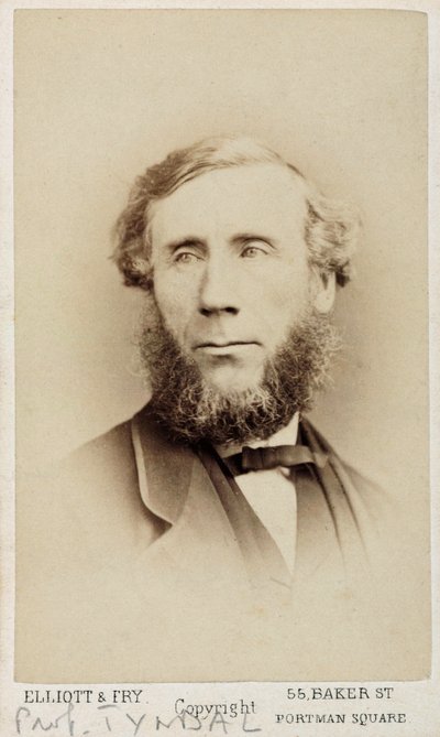 John Tyndall, físico irlandês, c 1875 de Unbekannt