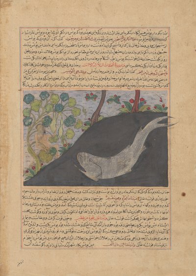 Jonas e a Baleia, Folio de um Majma