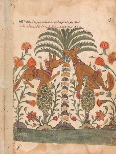 Kalila Upbraiding Dimna, Folio de um Kalila wa Dimna, século 18. de Unbekannt