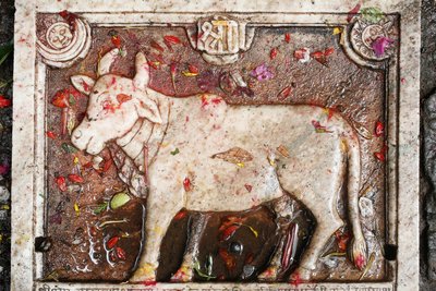 Kamdhenu vaca sagrada, Shesh Narayana, Nepal de Unbekannt