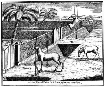 Khoikhois, aprisionando antílope, África do Sul, século XVIII 1931 de Unbekannt