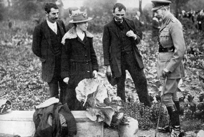 Rei George V admirando lotes em Clapham Common, Londres, c1910s-c1920s 1936 de Unbekannt