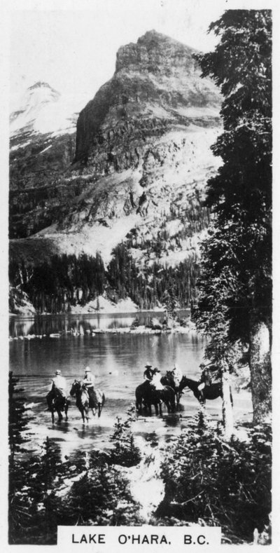 Lago OHara, Colúmbia Britânica, Canadá, c1920s de Unbekannt
