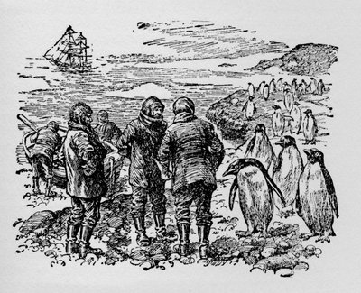 Desembarcou em uma pequena ilha habitada por uma miríade de pinguins, c1918 de Unbekannt