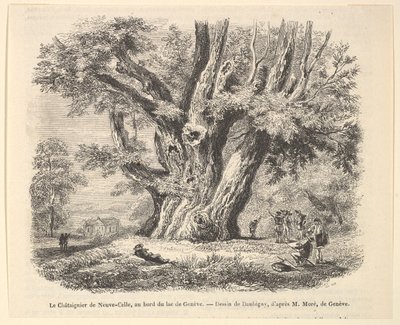 Le Châtaignier de Neuve-Celle, às margens do lago Genebra, depois de Daubigny, 1835-78. de Unbekannt