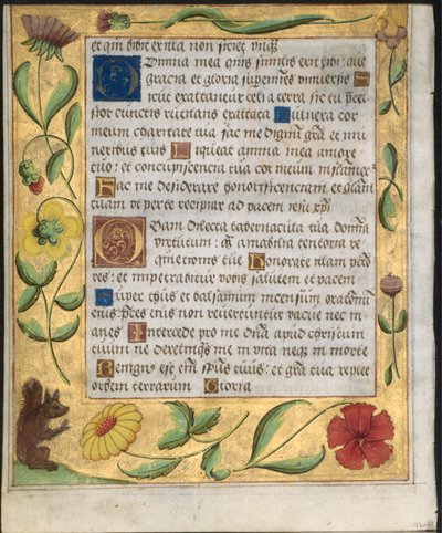 Folha de um Saltério e Livro de Orações: Fronteira Decorativa com Flores e Esquilo verso, c. 1524 de Unbekannt