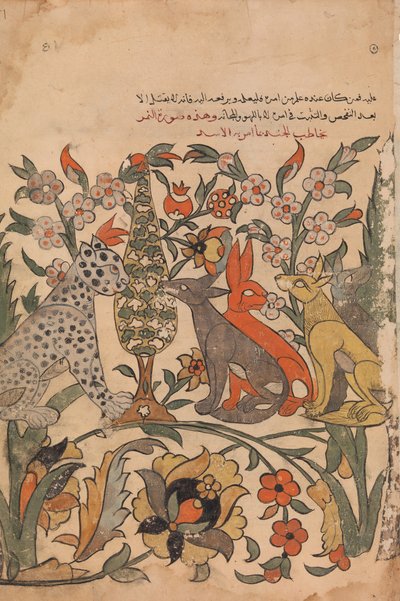 Leopardo Bearing Lion