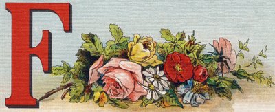 Letra F: flores. Gravura em "Alfabeto de ma petite fille". Bernardin-Bechet e Fils, livreiros-editores, Paris, por volta de 1895. Álbum inquebrável em lona. Bibliotheque des Bebes. 12 páginas. Álbum contendo um método de leitura e um abeced ilustrativo. de Unbekannt