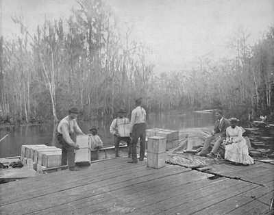 Carregando laranjas no rio Ocklawaha, Flórida, c1897. de Unbekannt