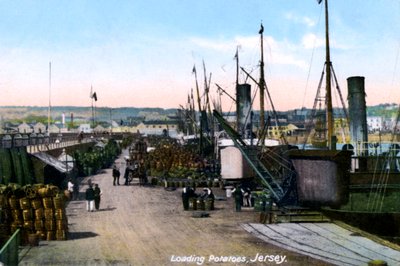 Carregando batatas, Jersey, 1908 de Unbekannt