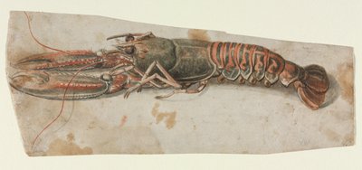 Lagosta, 1600s. de Unbekannt