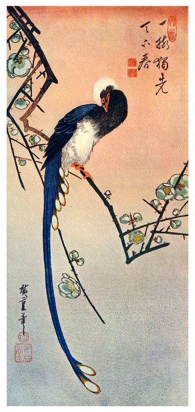 Pássaro azul de cauda longa no ramo da ameixeira em flor, século XIX 1925 de Unbekannt