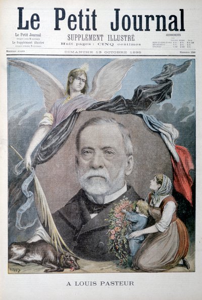 Louis Pasteur, químico francês, 1895 de Unbekannt