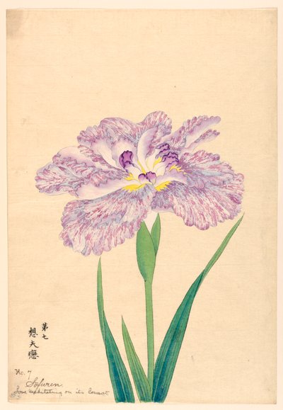 Love Meditating on Its Consort (Sofuren), No. 7, ca. 1910 de Unbekannt