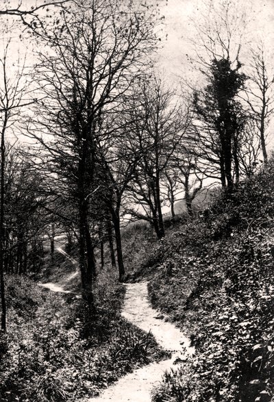 Amantes Lane, Fairlight, Hastings, Sussex de Unbekannt