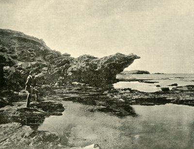 Maré baixa, praia Shelly, Warrnambool, 1901. de Unbekannt