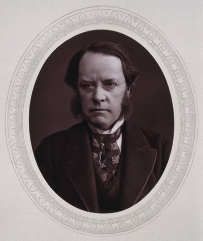 Lyon Playfair, Barão St Andrews, Químico e político escocês, c 1870 de Unbekannt