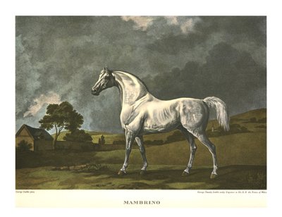 Mambrino, c1779, c1955. de Unbekannt