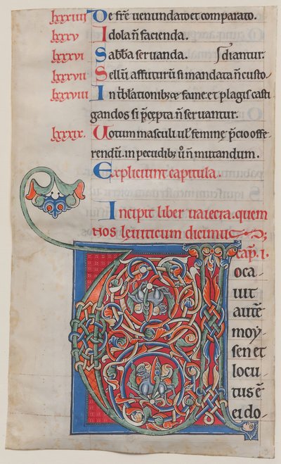 Iluminação de manuscrito com inicial V, de uma Bíblia, ca. 1175-95. de Unbekannt