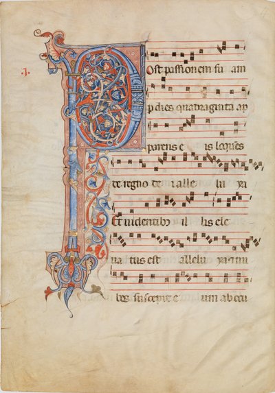 Folha Manuscrito com P inicial Foliado, de um Antifonário, ca. 1250-60. de Unbekannt