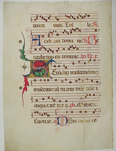Folha manuscrita com inicial S, de um antifonário, italiano, séc. XV. de Unbekannt