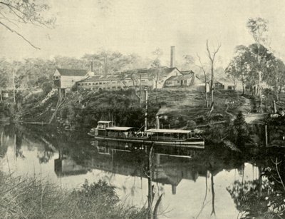 Meat Works, perto de Grafton, Nova Gales do Sul, 1901. de Unbekannt
