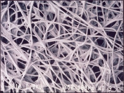 Micrográficos (Luz) Tecido quimotêxtil, micrográfico leve de Unbekannt