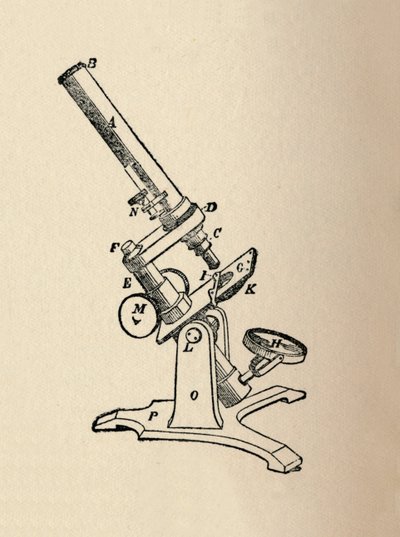 Microscope, 1912 de Unbekannt