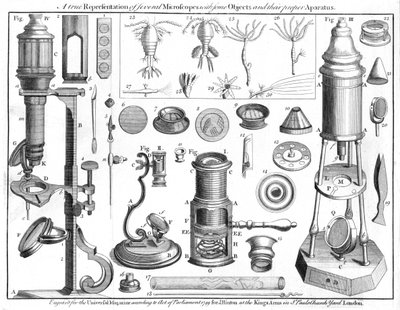 Microscópios e objetos microscópicos, 1750 de Unbekannt