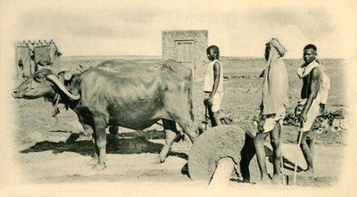 Argamassa de mistura. de Unbekannt