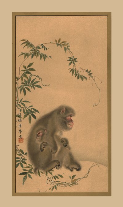 Macaco, século XIX, 1886 de Unbekannt