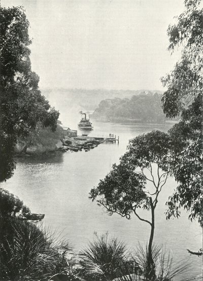 Mosmans Bay, de Cremorne Jetty, c1900. de Unbekannt