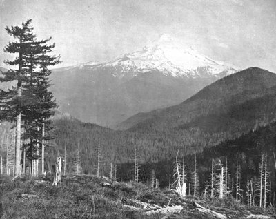 Mount Hood, Oregon, EUA, c1900. de Unbekannt