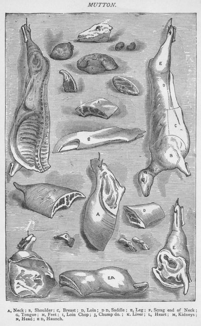 Carne de carneiro, 1907, 1907 de Unbekannt