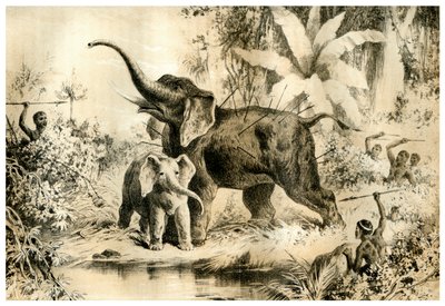 Nativos lanceando um elefante, 1883 de Unbekannt