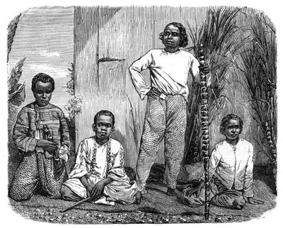 Nativos da ilha da reunião, c1890 de Unbekannt